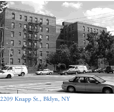 Site: 2209 Knapp St., Brooklyn, NY